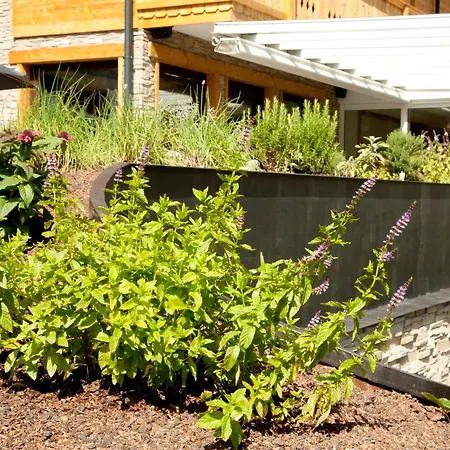 Montafonerin 4* Vandans